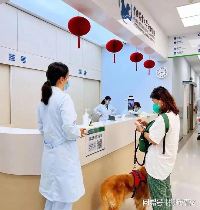 利的生意想挣钱的值得参考别错过凯发k8国际登录4个低调却超暴(图4)