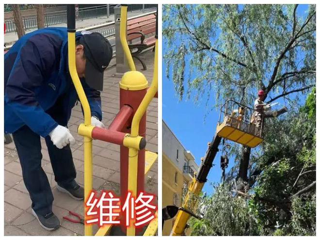 口的“爆改”打造多彩龙腾苑六区社区k8凯发国际登录“六色助力”！家门(图15)