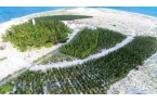 中国建设中建岛的速度加快有何深意马竞合作